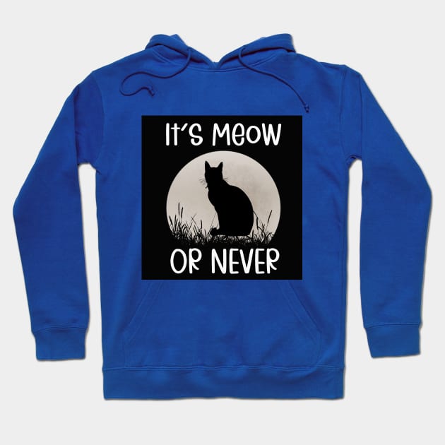 It's Meow Or Never Hoodie by kooicat